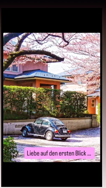 Ein Fire Beetle ist kein Auto, das man sucht.
Sondern eines, das man findet.

Olivia habe ich 2010 in Tokio gekauft.
Vier Jahre gefahren.
In einem Leben, das sich heute fast wie eine andere Zeit anfühlt.

Sie ist nie durch deutsche Winter gegangen.
Kein Salz, keine Kompromisse.
Nur gefahren, gepflegt – und gelebt.

Ein 1600i.
41.800 km.
Klimaanlage.
Und eine Geschichte, die man nicht nachbauen kann.

Ich gebe sie nicht ab, weil ich muss.
Sondern weil sie zu schade ist, um still zu stehen.

Vielleicht gehört sie jemandem,
der genau das versteht.

💌 DM bei ernsthaftem Interesse.

#volkswagenbeetle #vwkäfer #aircooled
#collectorcar #classiccarforsale